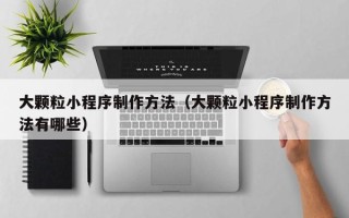 湖州大颗粒小程序制作方法（大颗粒小程序制作方法有哪些）