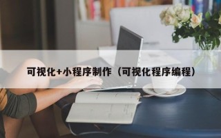 湖州可视化+小程序制作（可视化程序编程）